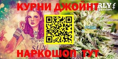 PSILOCYBIN Бердск