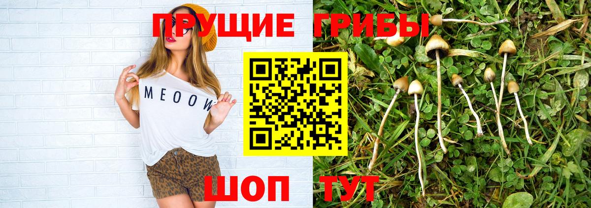 Псилоцибиновые грибы MAGIC MUSHROOMS  Вход с VPN  Воткинск 
